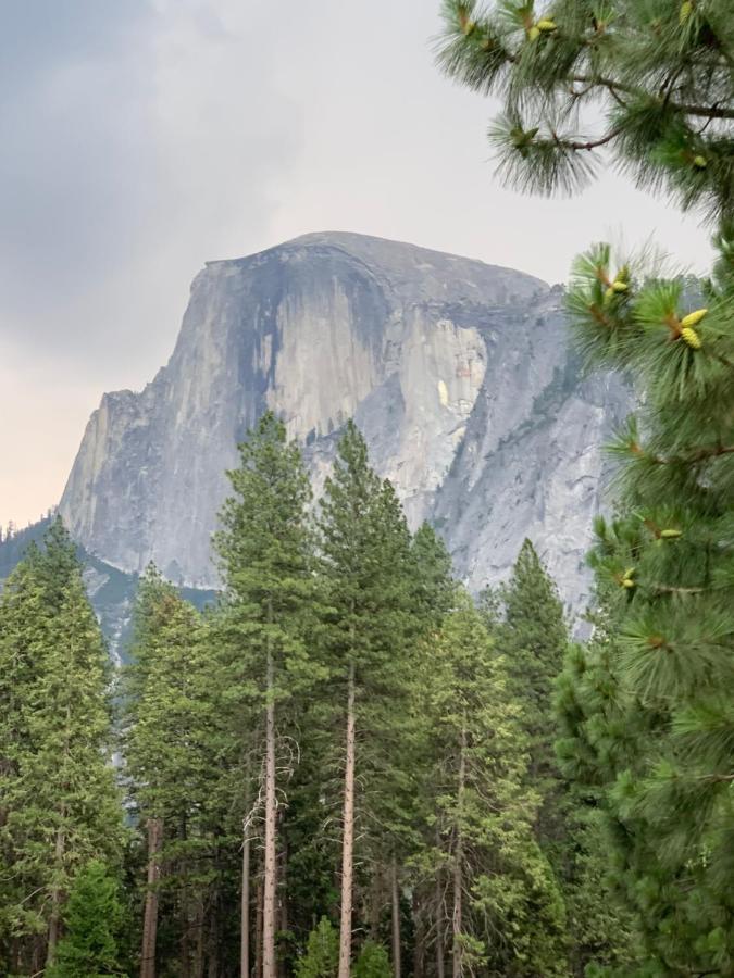 Villa Alta Vista At Yosemite- Stunning Views And Game